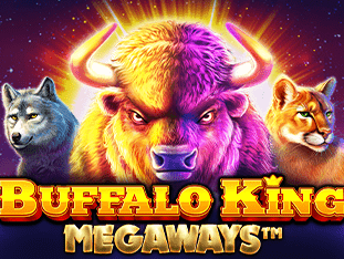 Buffalo King Megaways thumbnail