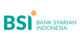 BSI logo
